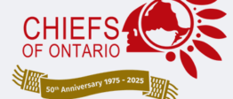 Hiawatha First Nation – Mississaugas of Rice Lake – June 17 & 18   2025   Events !