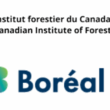Essential Skills in Forestry  |  Step into the Future of Forestry in Ontario